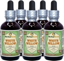 Biela vŕba (Salix Alba) Glycerit, Organicky sušená kôra Alkohol-FREE tekutý extrakt (názov brada: bylinný terra, hrdo vyrobený v USA) 5x2 fl.oz (5x60 ml)