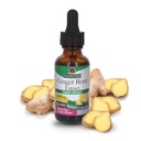 Nature's Answer Ginger Root Extract Supplement with Organic Alkohol 1 Fluid Ounce 