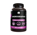 PURE ORIGINAL INGREDIENTS Andrographis Paniculata, (365 Kapsule) Always Pure, No Additives Or Fillers, Lab Overené