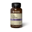Nature's Sunshine Nutribiome Bacillus Coagulans Probiotiká, 90 Kapsule 