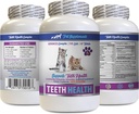 Bad Breath Cat Treats - CAT Teeth Health - Advanced Mouth Health Complex - Immune Boost - biotín pre mačky - 1 fľaša (60 tabliet)
