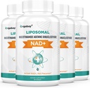 Lipozomálna NAD+ Doplnok 500 mg, vysoká absorpcia, zvýšená hladina NAD+ s TMG 250 mg, skutočná NAD Plus efektívnejšia ako nikotínamid Riboside, podporná bunková energia, zdravé starnutie 240 Softgels