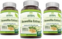 Bylinné tajomstvo Boswellia Serrata extrakt (65% kyseliny Boswellic) 600 mg kapsule doplnok 