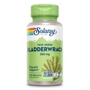 SOLARAY Bladderwrack Kapsule 580 mg - Nutrient-Packed Seaweed Supplement, High in Iodine - Vyvážená bylinná podpora - Vegan, Non-GMO, 60-dňová záruka, Lab Overené - 100 Servírovanie, 100 VegCaps