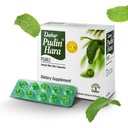 Dabur Pudin Hara Perly - Denné diétne starostlivosti Doplnky pre mužov a ženy, Pomáha zvrátiť príznaky chvenie, kyslosť, plynatosť a poruchy trávenia pre trávenie a zdravie Gut, 100 počet (Pack of 10)