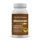 Bylinkové kapsule Shatavari Premium Asparagus Racemosus Supplement 40% Saponíny 750 mg High-Potency Formula - 60 Vegetariánske kapsule Bylinné wellness & Balance Support Non-GMO