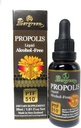 Evergreen Propolis Liquid Alkohol-Free Tinture 30ml PTF1170 (Obsahuje 1170 Propolis Flavonoid) Made in New Zealand
