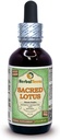 Lotus (Nelumbo nucifera) Glycerit, sušený Stamens Liquid Extract bez obsahu alkoholu (názov rastliny: HerbalTerra, hrdo vyrobené v USA) 2 fl.oz (60 ml)