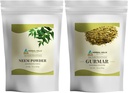 HERBAL HILLS Neem Leaf Powder a Gurmar Powder Gymnema Sylvestre Balenie po 2 Combo