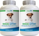 Alergia Imunitné oblátky pre psy Jahňacie príchuť - Dog Immune System Support - Pečeň a obličky Zdravie - Výkonný ANTIOXIDANTS - Prírodná formula - Turecko chvostové kapsule Pes - 2 fľaše (120 Liečebné prostriedky)