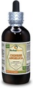 Angelica čínština (Angelica Sinensis) Tinktúra, Organicky sušený koreňový tekutý extrakt (brand name: HerbalTerra, hrdo vyrobené v USA) 4 fl.oz (120 ml)