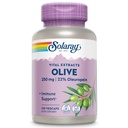 SOLARAY Olive 250mg - Olive Leaf Extract Kapsule s 22% Oleuropein, Plus Lemon Balm - Polyfenoly Supplement for Wellness Support - Vegan, 60-dňová záruka, Lab Overené - 120 Servings, 120 VegCaps