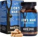 North Spore Organic Lion's Mane Mushroom Extract Capsules 