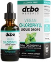 Chlorofyl Tekuté kvapky Telo Detox - Vegan Tekuté Chlorofyl Drops Odor Cleanse Supplement, Energy & Immune Support, Internal Deodorant, Body Deodorizing Supplement - Natural Deodorant Water 2 oz