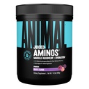 Živočíšne šťavnaté aminokyseliny - BCAA Powder EAA Matrix Plus Hydratácia s elektrolytmi a morskou soľou Kedykoľvek zotavenie a lepší výkon, Hroznová chuť, 30 porcií