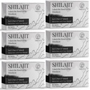 30 000 MG tablety Shilajit, 100% Shilajit Pure, Himalayan Organic, Shilajit pre mužov a ženy bohatý na kyselinu fulvovú & 85+ Stopové minerály, doplnok Shilajit pre energetický a imunitný systém, počet 360