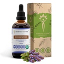 Tajomstvá tekutého extraktu bez obsahu alkoholu z kmeňa Tribe Bugleweed Liquid Extract, USDA Organic Bugleweed (Lycopus Virginicus) sušený bylina (4 FL OZ)