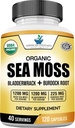 American Standard Supplements Organic Sea Moss, Bladderwrack & Burdock Root Capsulas - 1200mg Seamoss, 1200mg Bladderwrack, 225mg Burdock Root per Serving - 120 Kapsule, 40 Servings
