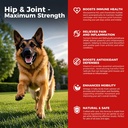 Pes Hip a Joint Supplement - Pes úľava od bolesti proti zápalu s glukozamínom, chondroitín, MSM, kurkuma, vitamín E, Omega 3 - Lieče Hip dysplázia, Artritída - Všetky veľké malé stredné plemeno