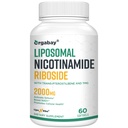 Orgabay Lipozomal Nicotinamide Riboside 2000 MG s TMG a Pterostilbene, Posilnenie NAD+, Podpora zdravé starnutie, 60 Počet