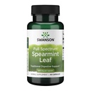 Swanson Spearmint Leaf (Mentha Spicata) - Full Spectrum Herbal Supplement Supporting Digestive Health & Mild Žalúdočné problémy - Natural Formula Supporting Health & Wellness - (60 Kapsule, 400mg Každý)