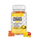 Mullein Gummies, 2000mg Organic Mullein Leaf Extract with Quercetin, Hypromelain & Vitamin D3, Mullein Leaf Extract for Respiration, Natural Lung Clease, Improve Appetite, Vegan, Non-GMO, 1 balenie