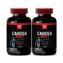 arabinogalaktán, doplnok črevnej flóry, aloe vera list prášok organické - CANDIDA AWAY COMPLEX - oregano olej kapsule, palina doplnok kapsule, imunitné posilňovacie, candida podpora - 2 fľaše 120 Caps