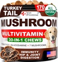 Huba pre psy - 170 žuvačiek - Turkey chvost - Huba doplnok pre psy - Lions Mane - Reishi - Imunitná podpora Multivitamínové vitamíny - Spoločné zdravie - Energia - Gut - koža - Vyrobené v USA