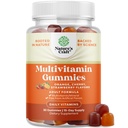 Silné denné multivitamínové guličky pre dospelých - wellness zmes vitamínu D A C E B12 Zinok a biotín - dospelý vitamín Gummy pre energiu a odolnosť - non-GMO lepidlo bez a Halal Gummies 30 Počet