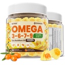 Omega 3-6-7-9 Gummies, Organic Sea Buckthorn Oil 1200MG & Ľanový olej 500MG, Vegan Omega 7 Supplement w/vitamin A, C, E, Mastné kyseliny, No Fish Chute, Podpora kože, Oko, Immune, Brain Health, 60 Cts