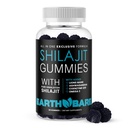 Himalájsky Shilajit s Levom Mane, Ashwagandha, CoQ10, a Omega-3 