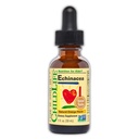 ČILDLIFE ZÁKLADNÉ Echinacea pre deti - Detské kvapky Echinacea, Tekutá tinktúra, Doplnky bez alkoholu pre deti, batoľatá, deti - prírodná pomaranč, 1 Fl Oz (balenie 1)