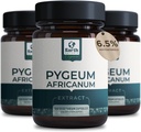 Pygeum Bark Extract 500mg 120 Kapsule - Bylinné doplnky podporuje prostaty zdravie, močový mechúr, a močové tract - Pánske zdravotné doplnky (Vegetariánska, Non-GMO) 4 mesiace dodávky