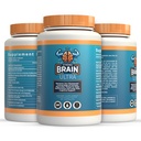 Strong Brain Ultra – AI-Formulated Nootropic for Cognitive Support & Focus | Research-Backed Ingredients: Lion’s Mane, Citicoline, Bacopa & More | Made in USA
