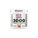 VMI Sports L-karnitín 3000 Powder 