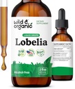 Divoké a organické Lobelia Tinktúra - Bylinné Lung Čistenie a Detox - Liquid Lobelia Extract Supplement - Vegan, Cukor a bez alkoholu Herb kvapky - 2 fl oz