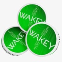 Wakey Energy Pouches | 50mg Caffeine | Vitamins A, C, D, B12, B1 | Sugar Free - 20 Nicotine Free Pouches Per Can (3 Pack) (3 Pack, Melon Wave 50mg)
