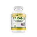 DrNatura Paranil® Pečeň & kolóna Čistenie - 17 Bylinný komplex s mliečnym bodliakom od Detoxifikácia, 110 Vegetariánske kapsule