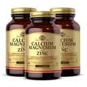 Solgar kalcium horčík Plus zinok, 100 tabliet (Pack of 3) - Podporuje zdravé kosti a zuby - podporuje Nervové a svalovej funkcie - Non-GMO, Vegan, Gluten Free, Dairy Free, Kosher - 100 Celkové služby