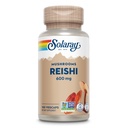 SOLARAY Reishi Mushroom 600mg - Reishi Mushroom Kapsule od Immune Support - Vegan, Lab Overené - 60-dňová záruka vrátenia peňazí - 100 Servings, 100 VegCaps