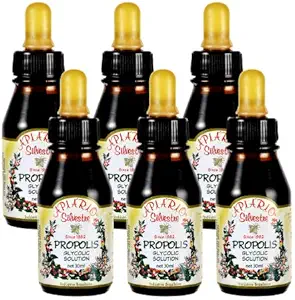 Udržujte zdravú hladinu glukózy a kardiovaskulárne zdravie - 6 fliaš s hodnotou balenia Brazílska zelená včela Propolis Liquid Glycolic Extra- Non Alkoholické, bez voskov, bez cukru (PG)