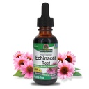 Nature's Answer Echinacea alkohol bez extraktu 1 Fluid Ounce 