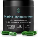Marine Phytoplankton Kapsule by Holistic Bin 