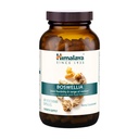 Himalája Boswellia, Spoločná podpora mobility a flexibility, podporuje konzerváciu tkanív, 250 mg, 240 kapsúl