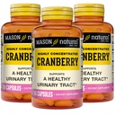 MASON Natural Cranberry Highly Concentrated 900 mg, 3 Month Supply, Antioxidant & Immune Health, Supports Healthy Urinary Tract, 3 Pack