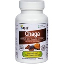 Sayan Sibírsky Chaga Mushroom Extract 90 Kapsule / 420mg ea 