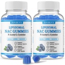 2 Pack Liposomal NAC Gummies 1200mg, NAC Supplement N-Acetyl Cysteine for Adults & Kids, Glutathione, Vitamin C, Zinc, ALA, Glycine, Support Antioxidant, Immunity & Liver Health,Blueberry Flavor,120Ct