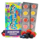 Shrumfuzed Mushroom Gummies | Nootropic Mushroom Supplement with Lion's Mane, Reishi, Cordyceps & Chaga | 20 Count, Assorted Flavors