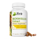 Jiva Botanicals Boswellia Extract Kapsule 700mg per Serving - Boswellia Serrata Extract Supplement & Black Pepper - Joint Suplement for Normal Joint Health - 120 Kapsule (Pack of 1)