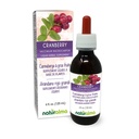 Naturalma Cranberry (Vaccinium macrocarpon alebo Oxycoccus macrocarpos) Ovocie bez alkoholu Tinktúra - 4 fl oz Tekutý extrakt v kvapkách - Bylinné doplnok - Vegan